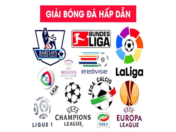 Tìm hiểu các giải bóng đá lớn trên thế giới nhiều fan nhất